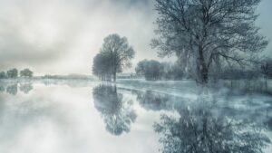Winterlandschaft